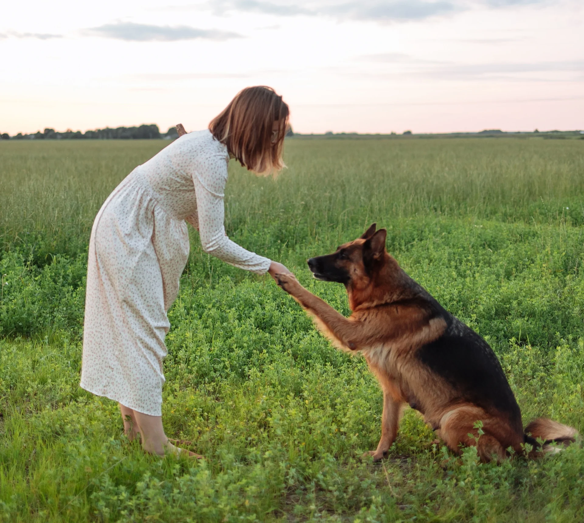 A woman is petting her german shepherd in the grass.